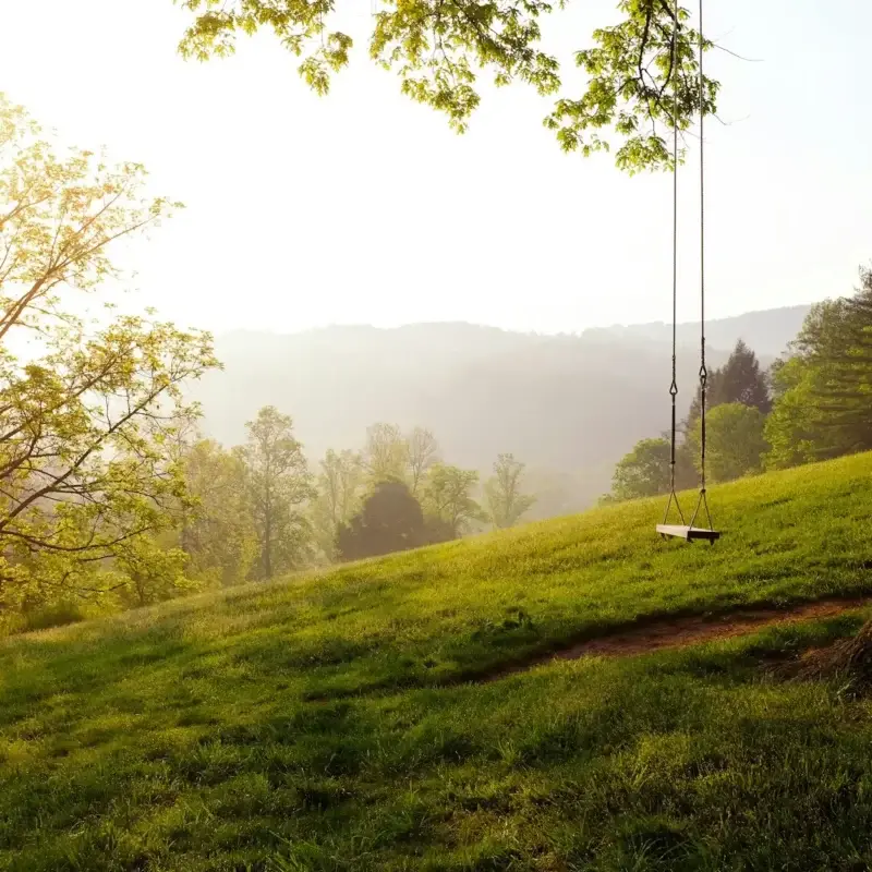 valley at sunrise with swing haning from tree